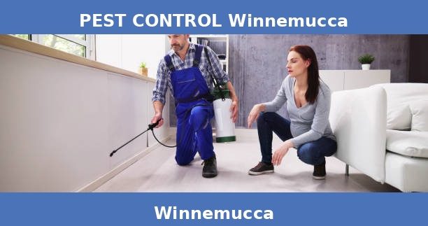 PEST CONTROL Winnemucca